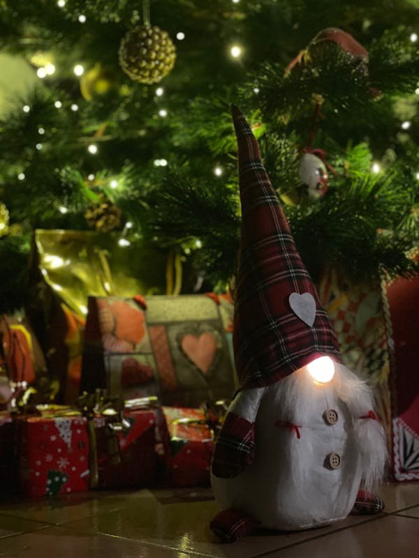 10 idées de papier cadeau gnomes pour une touche unique